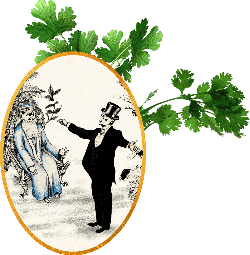 Animated image of D. George Benham stealing coriander from a crafty Moroccan prince