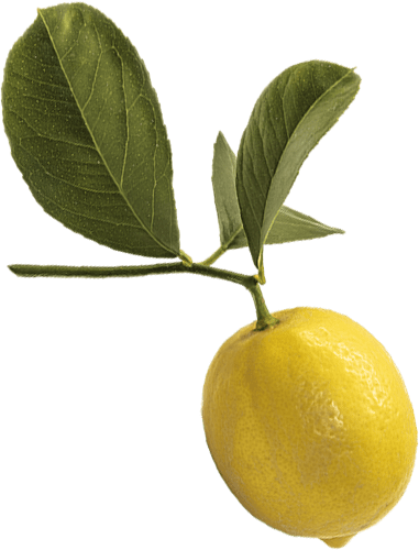Image of a lemon used to flavor Benham's Inventive Concoctions